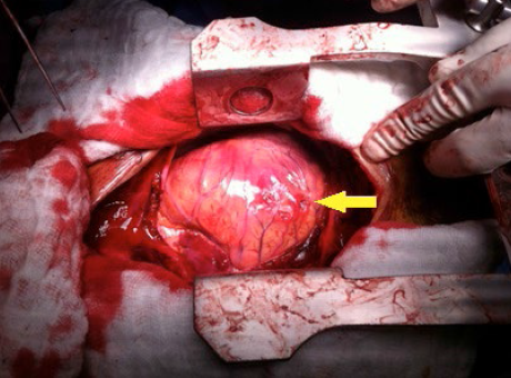 87NIQFAdmgfeTG0T.png 4.png.png